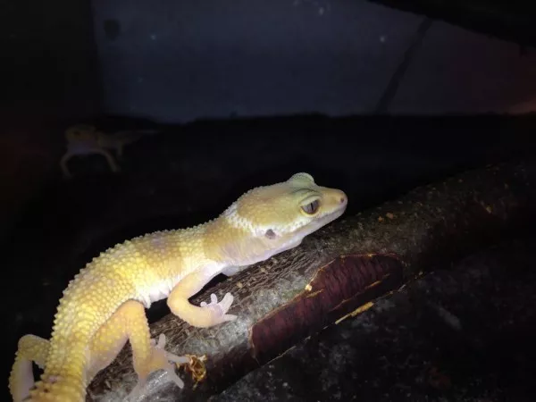 Hlavní fotka