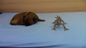 -