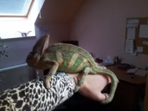 Rexík s moji maminkou.