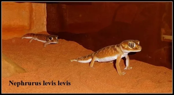Hlavní fotka