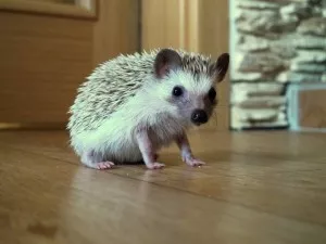 Konečně se na chvilku zastavila a nechala vyfotit... :D