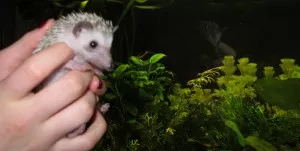 řekni, kde ty ryby jsou.. co se snimi mohlo stát?