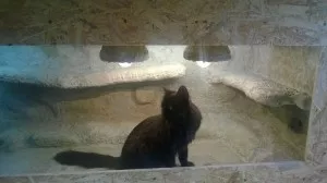 Test osvětlení po zapojení - PS
