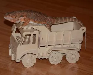 Žofka frčí