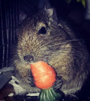 Mňamí :-)