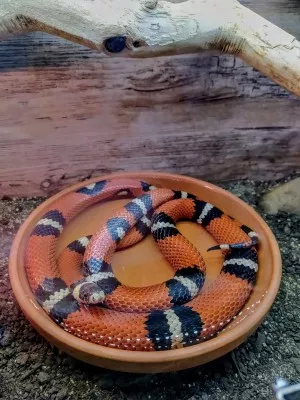 Koupání :-)