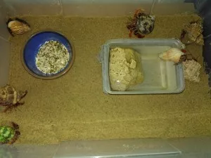 Přechodný box, zatím co jsem jim dělal nové tera