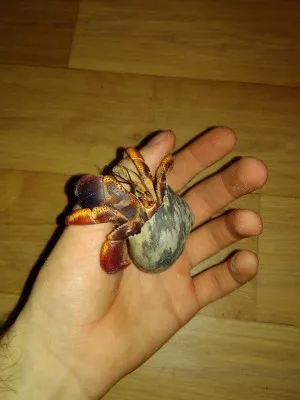 -