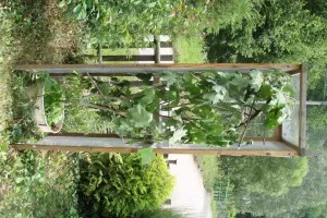 otevřené