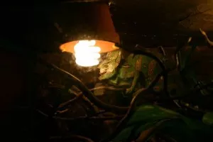 a tahle je i s vápníkem mňam