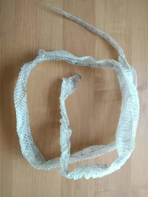 Svlečka 16.5.2019, 155 cm.