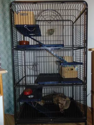 Tu bývam