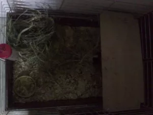 omlouvám se za kvalitu fotek