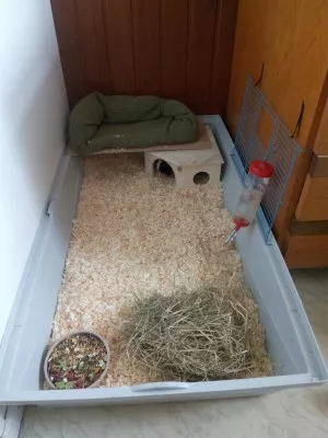 pak domeček