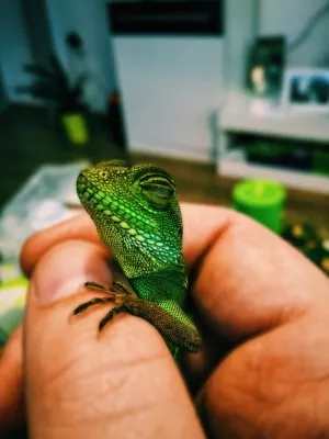 :)