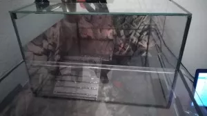 Rozšířený ostrov a větší plošina pro výlez na něj