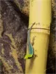Felsuma Klemmerova  (Phelsuma klemmeri)