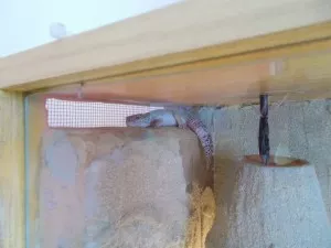 -