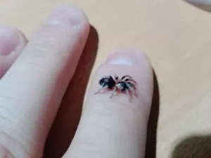 -