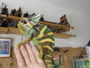 řvoucí chameleon 7.017