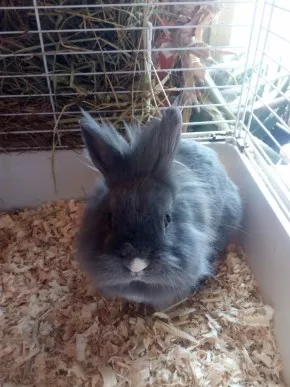 Paul