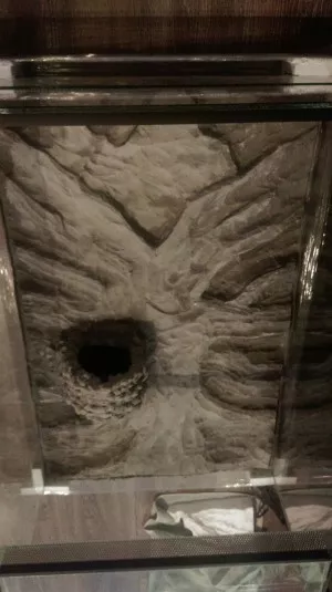 1. vrstva lepidla