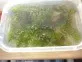 Ceratophyllum