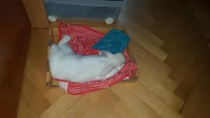-