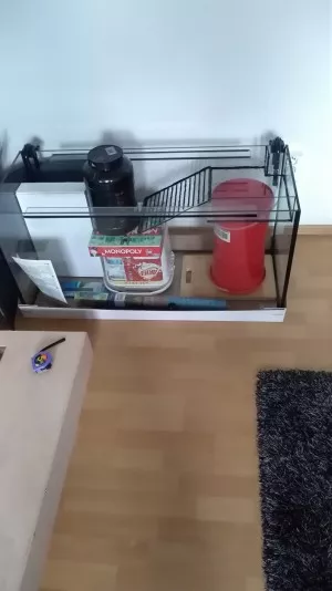 Lepení ostrovu