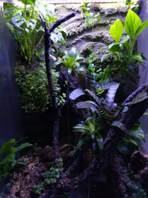 Paludarium