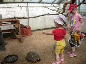 návštěva v zoo Dvůr Králové