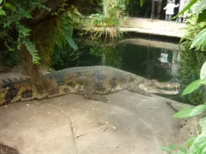 U Krakena jsem si obě dcery dooost hlídal :o)