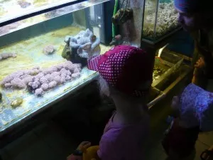 Zéva obrovská - bohužel schovaná před návštěvníky :o)