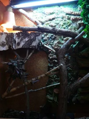 terko
