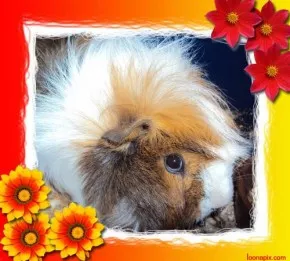 Mazlík
