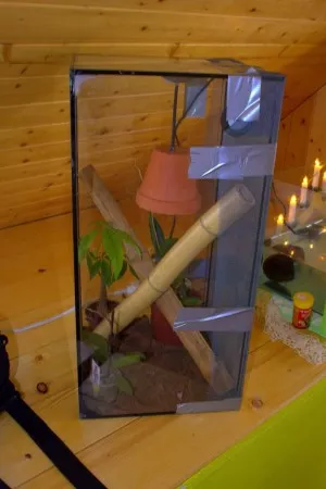 záložní tera (Dočasnéú