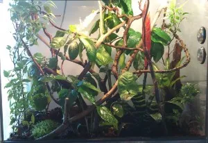 12/2010