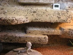 teritorium Terka
