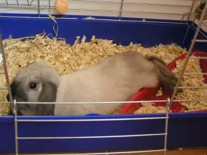 takhle se unás usíná :-*
