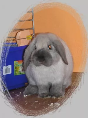 a ten nejlepší na světěě :-* druhé nejlepší narozky :)