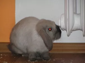 :)