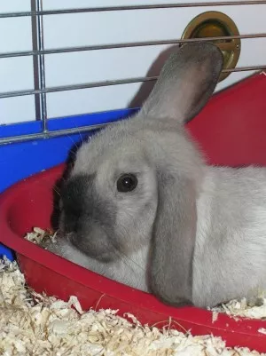 :)