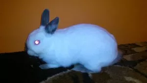 -