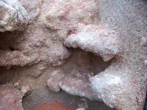 Detail