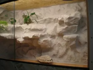 nové terarium, zatím ještě nezabydlené