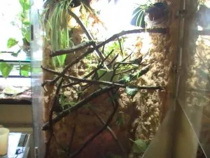 nový interiér terárka