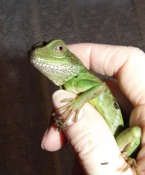 Tondův svět