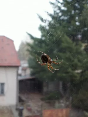 Motám, motáš, motáme