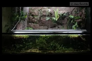 Po změně pozadí. Už aby bylo celé v mechu. Takhle sem si to vůbec nepředstavoval=(.