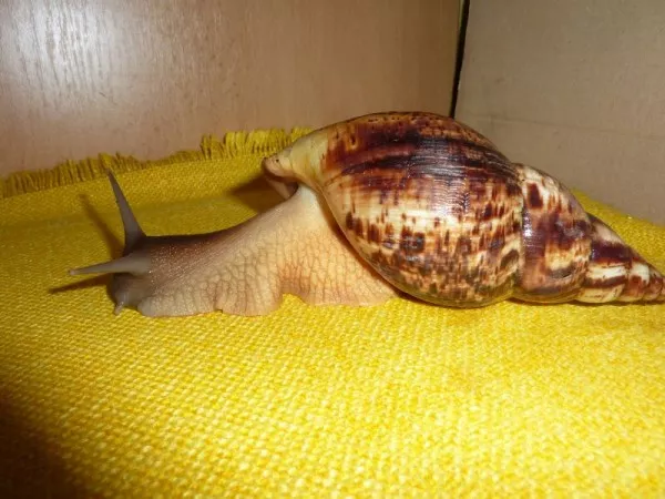 Hlavní fotka